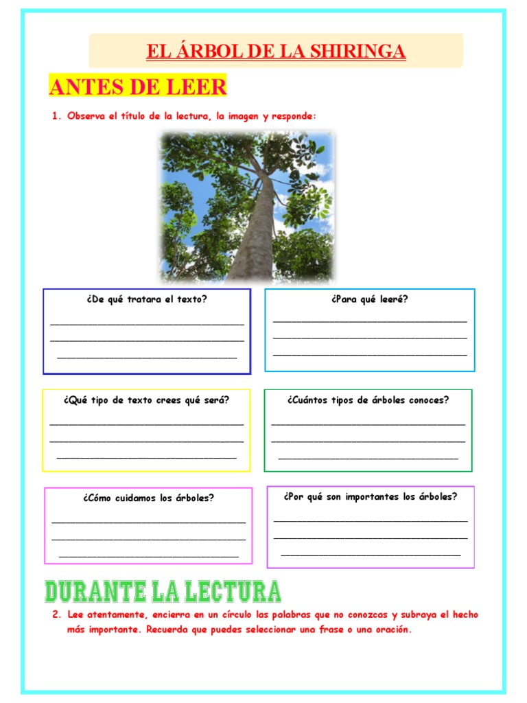 Ficha Vier 21 Plan Lector El Arbol de La Shiringa | PDF