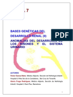 7b-Bases Geneticas Del Desarrollo Renal (II)