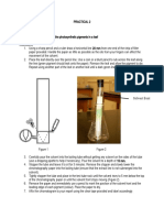 Pigment Extraction Lab