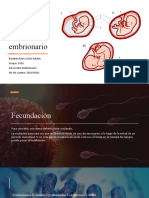 Desarrollo Embrionario