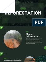 Deforestation PT