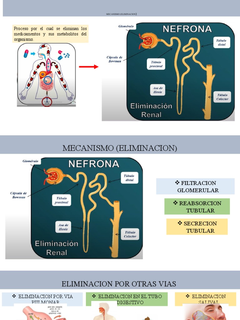 Mecanismo de Eliminacion PDF