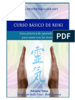 Reiki Guia Basica Libro