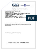 Ensayo Multi 202051158 Marlen Elizabeth López