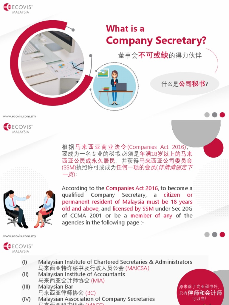 COMPANY SECRETARY JOB DESCRIPTION PDF visual data 6