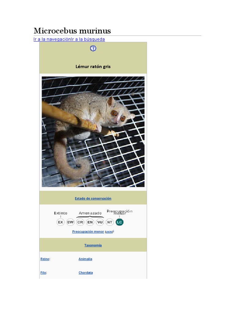 Microcebus Murinus PDF