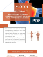 Kel.4 Sistem Otot
