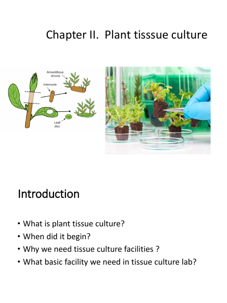 Chapter 2 Tissue Culture PDF Growth Medium Sterilization