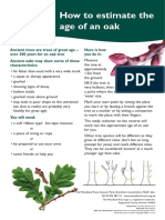 Estimating Age of Oaks - Woodland Trust