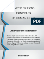 Human Right Principles Flag and Heraldic Code