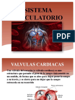 Valvulas y Tonos Cardiacos