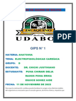 Electrofisiología cardíaca GIPS 1