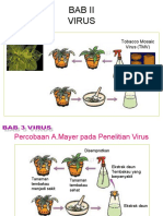 Bagi 3. Virus