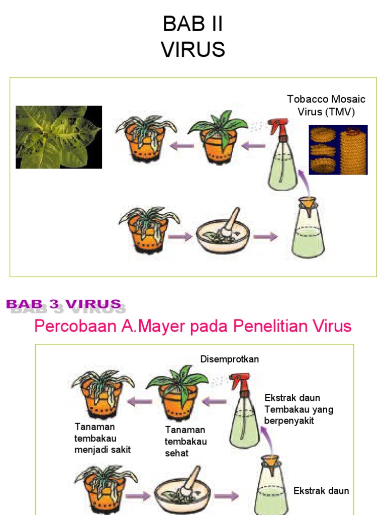 identify the addictive substance found in all tobacco products Nicotine is a highly addictive chemical found in tobacco products,  including cigarettes and vapes. Even though vaping is often marketed as a  “safer” alternative, most vapes still contain nicotine, sometimes in higher