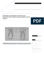 Morphology and Development of Primary and Permanent Teeth L Pediatric Dentistry MCQs For Dental Students - WikiDentia