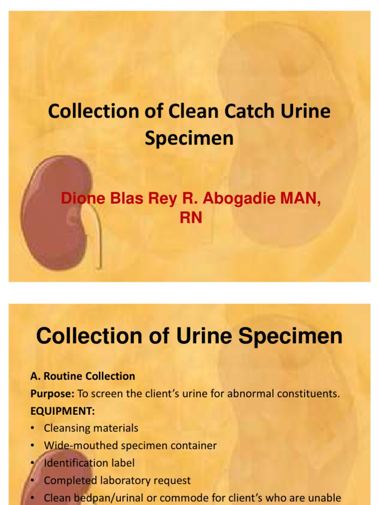 Collection of Clean Catch Urine Specimen Urine Urination