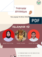 Turunan Ektoderm