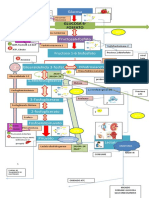 Glucólisis y ciclo de Krebs en