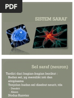 Download Pengertian Bagian Dan Fungsi Sel Saraf by Indah Hane SN60774403 doc pdf