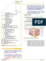 03 - Integumentary System Cristino