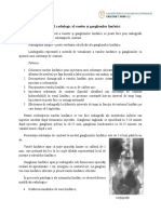 Examenul radiologic al vaselor și ganglionilor limfatici