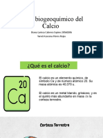 Ciclo biogeoquímico del Calcio: Funciones y circulación