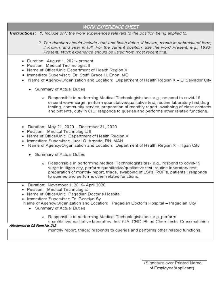 Cs form no 212 attachment work experience sheet pdf
