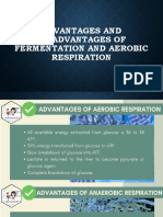 Advantages and Disadvantages of Fermentation and Aerobic Respiration