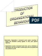Introduction To Organizational Behavior