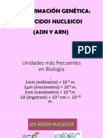 Los Ácidos Nucleicos