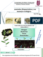 Nematodos Fit y Su Manejo-2019