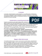 PDF Lavanda