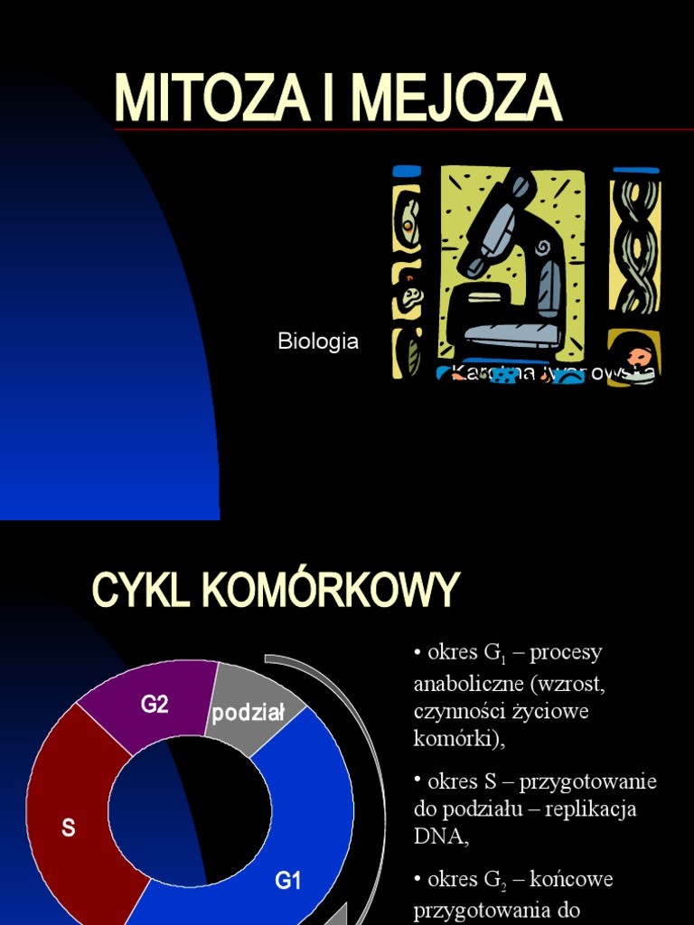 Mitoza I Mejoza Klasa 8 Mitoza I Mejoza 51508 | PDF