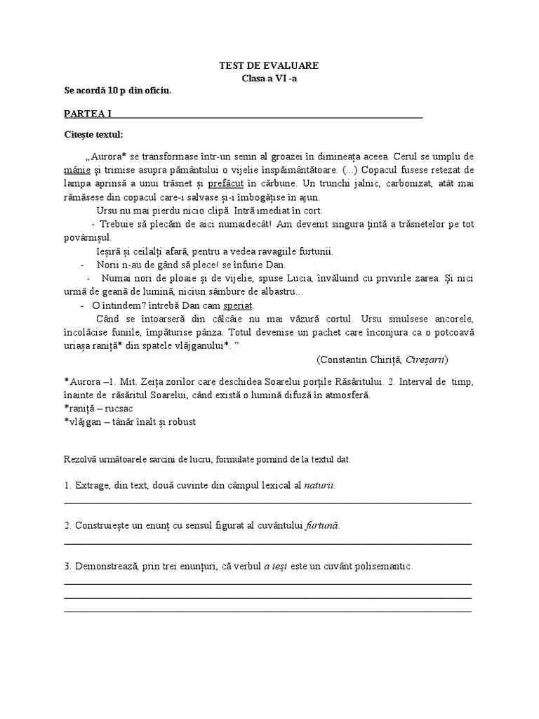 Test Clasa 6 - Vocabular | PDF