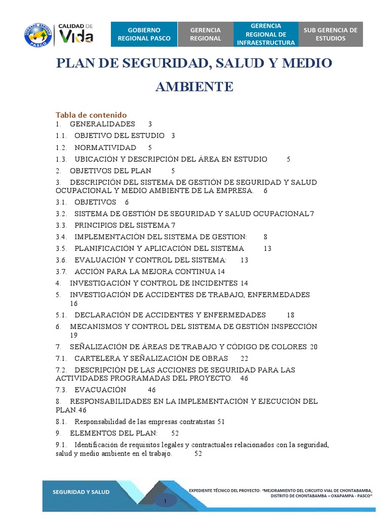 Plan de Seguridad y Salud Chontabamba | PDF | Seguridad y salud ...