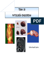 TEMA 18-PATOLOGIA ENDOCRINA - PPT (Modo de Compatibilidad)