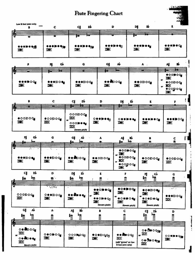 Flute Fingering Chart | PDF