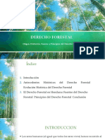 Evolucion y Desarrollo Derecho Forestal