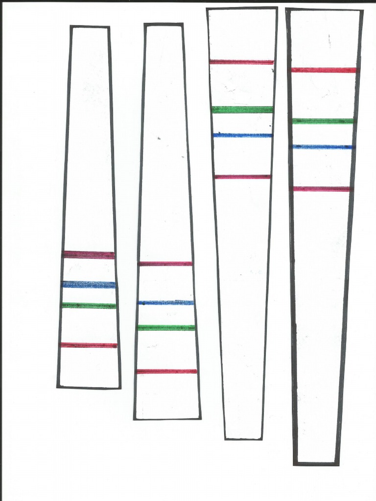 Violin Fretboard 4 Sizes PDF