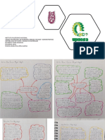 Evidencias Primer Parcial