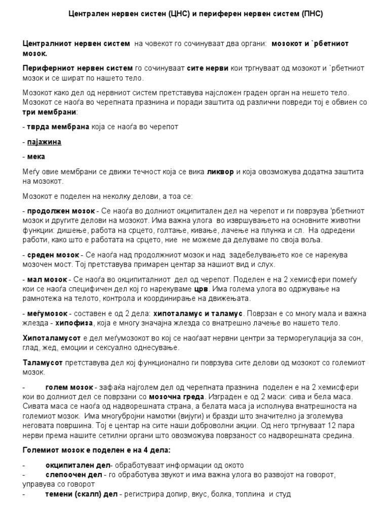 ЦНС и ПНС | PDF