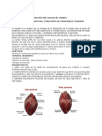 Laboratorio Corazon