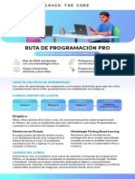 Ruta Programación Pro