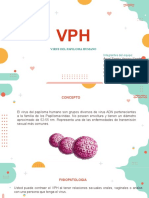 VPH Equipo 2