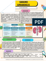 Poster Suprarrenal