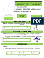 Actividad 11 (Hidruros y Sales Binarias)