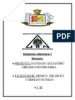 Anatomía veterinaria 1: Glosario con 37 términos clave