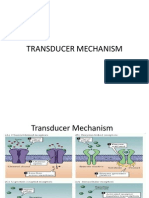 Transducer Mechanism