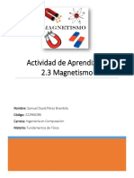 Actividad 2.3 Magnetismo - 222966286