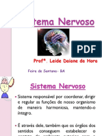 Sistema Nervoso, Excretor e reprodutor- Aula